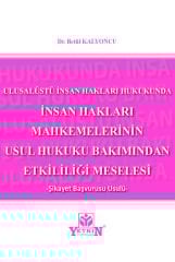 İnsan Hakları Mahkemelerinin Usul Hukuku Bakımından Etkililiği Meselesi